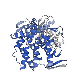 16116_8bm0_G_v1-4
Structure of GroEL:GroES-ATP complex plunge frozen 200 ms after reaction initiation