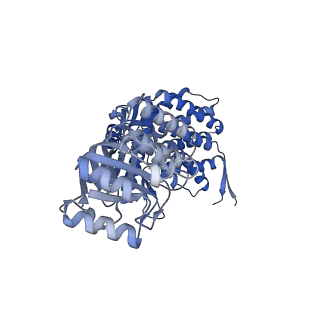 16116_8bm0_I_v1-4
Structure of GroEL:GroES-ATP complex plunge frozen 200 ms after reaction initiation