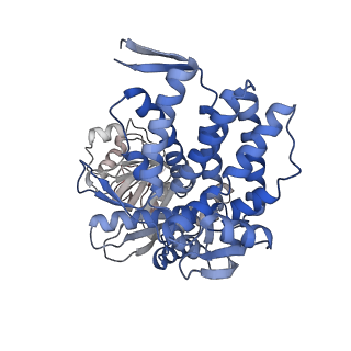 16116_8bm0_K_v1-4
Structure of GroEL:GroES-ATP complex plunge frozen 200 ms after reaction initiation