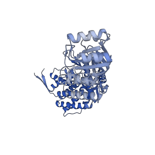 16116_8bm0_L_v1-4
Structure of GroEL:GroES-ATP complex plunge frozen 200 ms after reaction initiation
