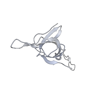 16116_8bm0_M_v1-4
Structure of GroEL:GroES-ATP complex plunge frozen 200 ms after reaction initiation