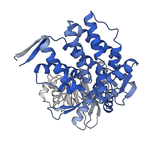 16116_8bm0_N_v1-4
Structure of GroEL:GroES-ATP complex plunge frozen 200 ms after reaction initiation