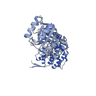 16116_8bm0_O_v1-4
Structure of GroEL:GroES-ATP complex plunge frozen 200 ms after reaction initiation