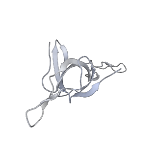 16116_8bm0_P_v1-4
Structure of GroEL:GroES-ATP complex plunge frozen 200 ms after reaction initiation
