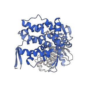 16116_8bm0_Q_v1-4
Structure of GroEL:GroES-ATP complex plunge frozen 200 ms after reaction initiation