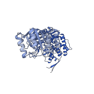 16116_8bm0_R_v1-4
Structure of GroEL:GroES-ATP complex plunge frozen 200 ms after reaction initiation