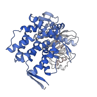 16116_8bm0_T_v1-4
Structure of GroEL:GroES-ATP complex plunge frozen 200 ms after reaction initiation