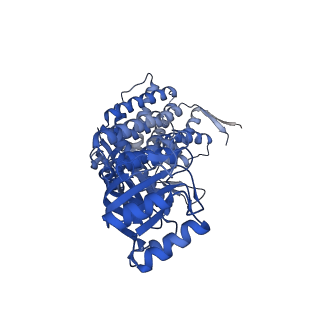 16117_8bm1_A_v1-2
Structure of GroEL:GroES-ATP complex under continuous turnover conditions