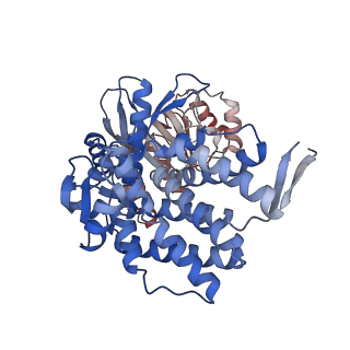 16117_8bm1_C_v1-2
Structure of GroEL:GroES-ATP complex under continuous turnover conditions
