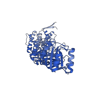 16117_8bm1_D_v1-2
Structure of GroEL:GroES-ATP complex under continuous turnover conditions