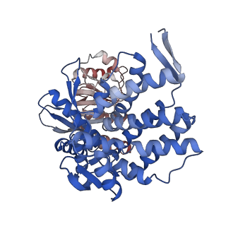 16117_8bm1_F_v1-2
Structure of GroEL:GroES-ATP complex under continuous turnover conditions