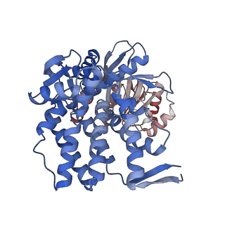 16117_8bm1_G_v1-2
Structure of GroEL:GroES-ATP complex under continuous turnover conditions