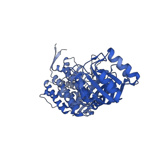 16117_8bm1_H_v1-2
Structure of GroEL:GroES-ATP complex under continuous turnover conditions
