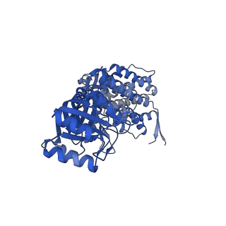 16117_8bm1_I_v1-2
Structure of GroEL:GroES-ATP complex under continuous turnover conditions