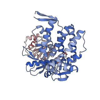 16117_8bm1_K_v1-2
Structure of GroEL:GroES-ATP complex under continuous turnover conditions