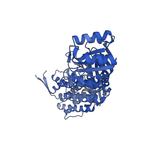 16117_8bm1_L_v1-2
Structure of GroEL:GroES-ATP complex under continuous turnover conditions