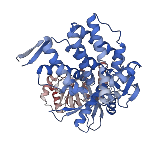 16117_8bm1_N_v1-2
Structure of GroEL:GroES-ATP complex under continuous turnover conditions