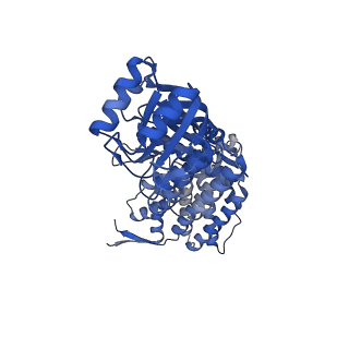 16117_8bm1_O_v1-2
Structure of GroEL:GroES-ATP complex under continuous turnover conditions