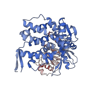 16117_8bm1_Q_v1-2
Structure of GroEL:GroES-ATP complex under continuous turnover conditions