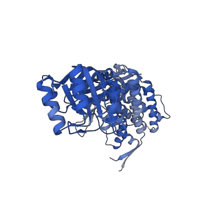 16117_8bm1_R_v1-2
Structure of GroEL:GroES-ATP complex under continuous turnover conditions