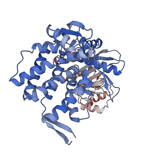 16117_8bm1_T_v1-2
Structure of GroEL:GroES-ATP complex under continuous turnover conditions