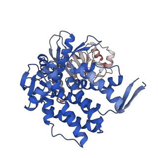 16118_8bmd_A_v1-2
Structure of GroEL-ATP complex under continuous turnover conditions