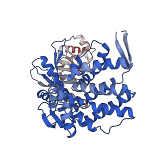16118_8bmd_C_v1-2
Structure of GroEL-ATP complex under continuous turnover conditions