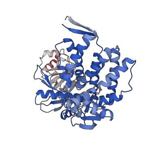 16118_8bmd_E_v1-2
Structure of GroEL-ATP complex under continuous turnover conditions