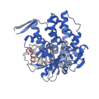 16118_8bmd_H_v1-2
Structure of GroEL-ATP complex under continuous turnover conditions