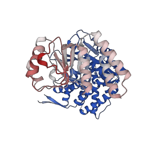 16118_8bmd_I_v1-2
Structure of GroEL-ATP complex under continuous turnover conditions