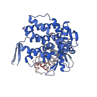 16118_8bmd_J_v1-2
Structure of GroEL-ATP complex under continuous turnover conditions