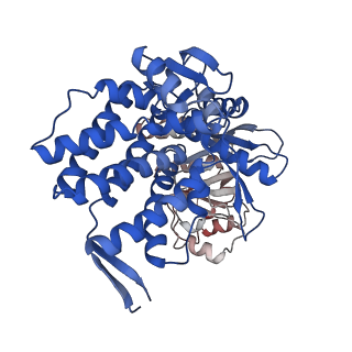 16118_8bmd_L_v1-2
Structure of GroEL-ATP complex under continuous turnover conditions