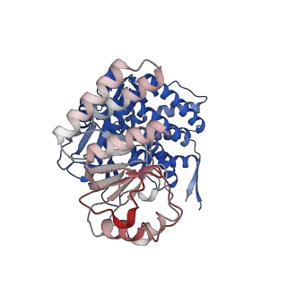 16118_8bmd_M_v1-2
Structure of GroEL-ATP complex under continuous turnover conditions