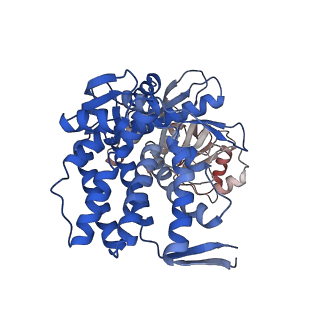 16118_8bmd_N_v1-2
Structure of GroEL-ATP complex under continuous turnover conditions