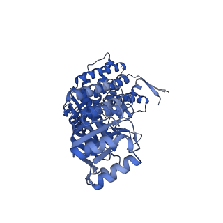 16119_8bmo_B_v1-2
Structure of GroEL:GroES complex exhibiting ADP-conformation in trans ring obtained under the continuous turnover conditions