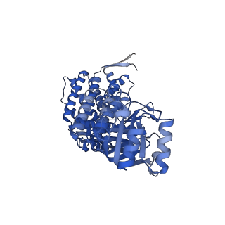 16119_8bmo_F_v1-2
Structure of GroEL:GroES complex exhibiting ADP-conformation in trans ring obtained under the continuous turnover conditions