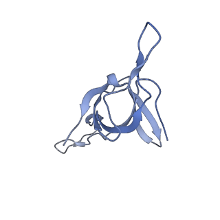 16119_8bmo_G_v1-2
Structure of GroEL:GroES complex exhibiting ADP-conformation in trans ring obtained under the continuous turnover conditions