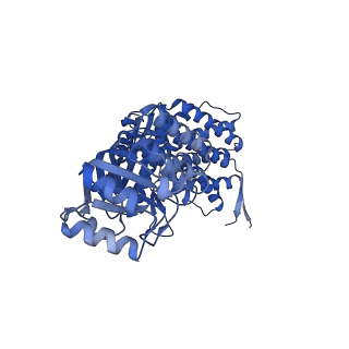 16119_8bmo_I_v1-2
Structure of GroEL:GroES complex exhibiting ADP-conformation in trans ring obtained under the continuous turnover conditions