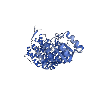 16119_8bmo_J_v1-2
Structure of GroEL:GroES complex exhibiting ADP-conformation in trans ring obtained under the continuous turnover conditions
