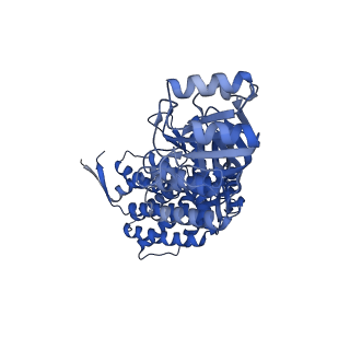16119_8bmo_M_v1-2
Structure of GroEL:GroES complex exhibiting ADP-conformation in trans ring obtained under the continuous turnover conditions