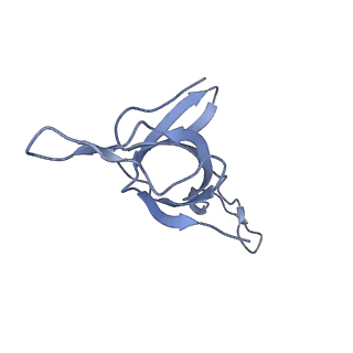 16119_8bmo_N_v1-2
Structure of GroEL:GroES complex exhibiting ADP-conformation in trans ring obtained under the continuous turnover conditions