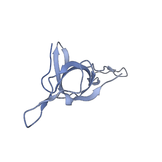 16119_8bmo_Q_v1-2
Structure of GroEL:GroES complex exhibiting ADP-conformation in trans ring obtained under the continuous turnover conditions