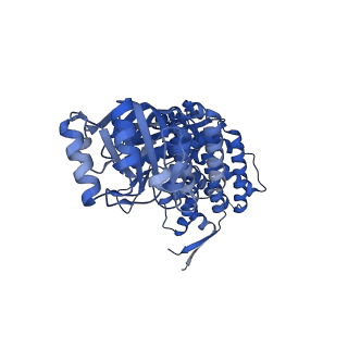 16119_8bmo_S_v1-2
Structure of GroEL:GroES complex exhibiting ADP-conformation in trans ring obtained under the continuous turnover conditions