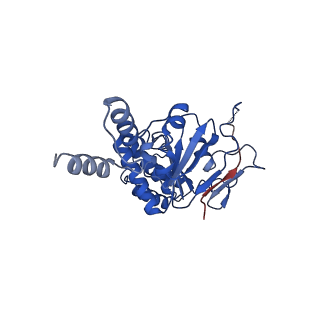 16120_8bmp_A_v1-1
Cryo-EM structure of the folate-specific ECF transporter complex in MSP2N2 lipid nanodiscs bound to ATP and ADP