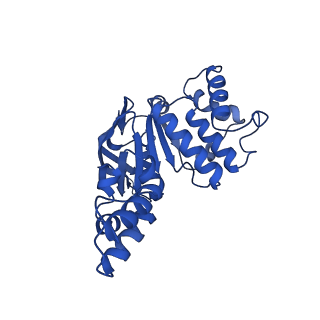 16120_8bmp_B_v1-1
Cryo-EM structure of the folate-specific ECF transporter complex in MSP2N2 lipid nanodiscs bound to ATP and ADP