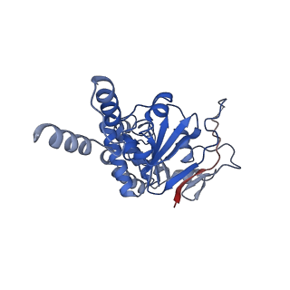 16121_8bmq_A_v1-1
Cryo-EM structure of the folate-specific ECF transporter complex in MSP2N2 lipid nanodiscs bound to AMP-PNP