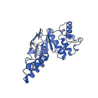 16121_8bmq_B_v1-1
Cryo-EM structure of the folate-specific ECF transporter complex in MSP2N2 lipid nanodiscs bound to AMP-PNP