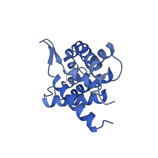 16121_8bmq_C_v1-1
Cryo-EM structure of the folate-specific ECF transporter complex in MSP2N2 lipid nanodiscs bound to AMP-PNP