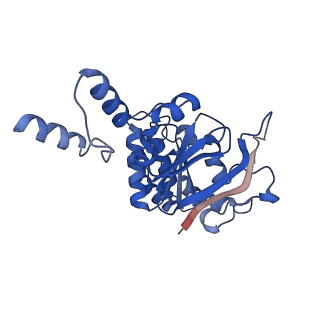 16122_8bmr_A_v1-1
Cryo-EM structure of the wild-type solitary ECF module in MSP2N2 lipid nanodiscs in the ATPase open and nucleotide-free conformation