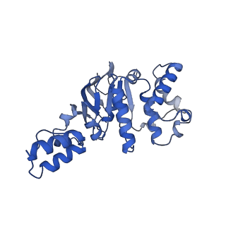 16122_8bmr_B_v1-1
Cryo-EM structure of the wild-type solitary ECF module in MSP2N2 lipid nanodiscs in the ATPase open and nucleotide-free conformation